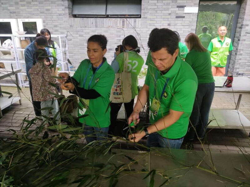Chengdu: Dujiangyan Panda Volunteer Program with Lunch - Final Thoughts: Why Choose This Tour?