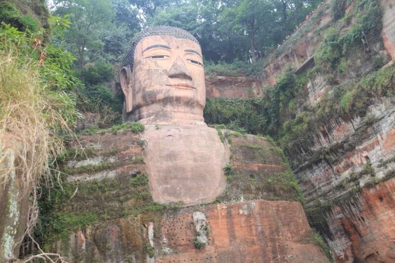 Chengdu: Giant Panda and Leshan Buddha Sall Group Day Tour - What’s Included and What’s Not