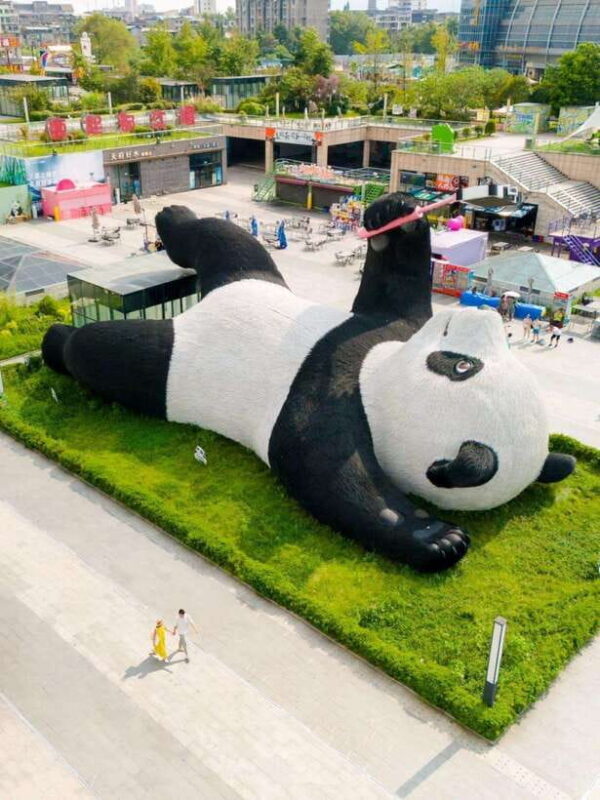 Chengdu: Hidden Wonders Day Tour with Wolong Panda Base - A Comprehensive Look at the Tour Experience