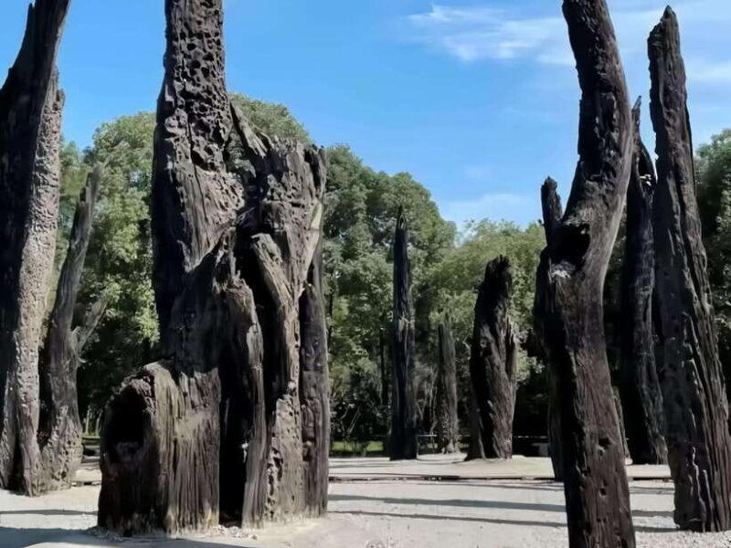 Chengdu Intangible Cultural Heritage One-Day Tour - Exploring Chengdu’s Hidden Treasures in a Day