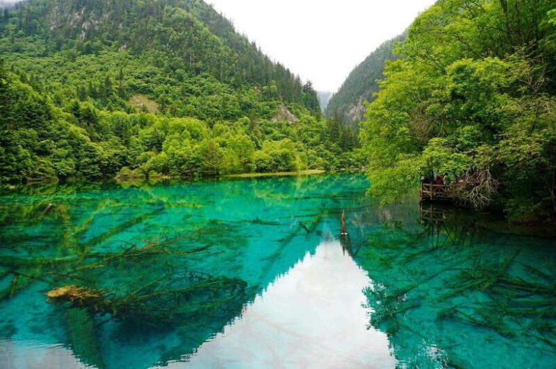 Chengdu & Jiuzhaigou Enchanted Landscapes Tour - An Overview of the Tour Experience
