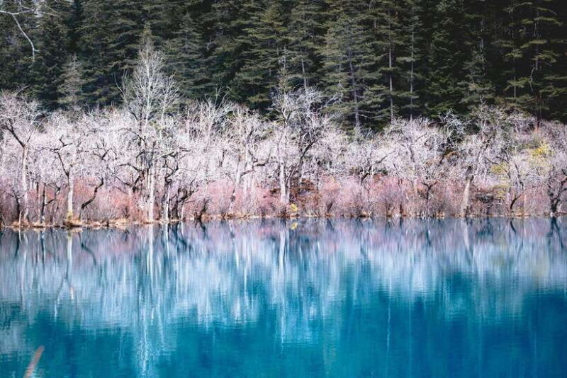 Chengdu & Jiuzhaigou Enchanted Landscapes Tour - Final Words