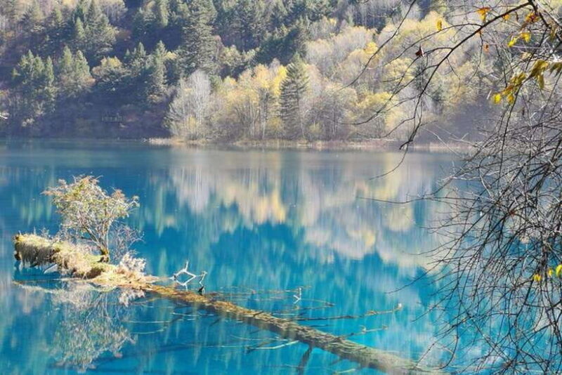 Chengdu: Jiuzhaigou&Huanglong 3-Day Tour by Bullet Train - An In-Depth Look at the Tour