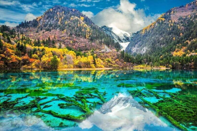 Chengdu: Jiuzhaigou&Huanglong 3-Day Tour by Bullet Train - The Experience: Pros and Cons