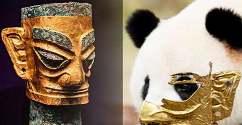Chengdu Panda Base and Sanxingdui Museum Private Tour - Good To Know