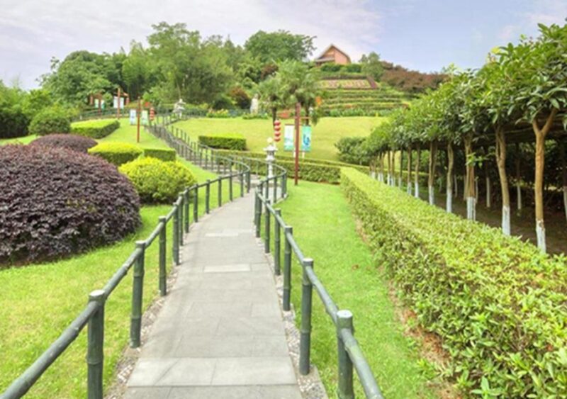 Chengdu Panda & Leshan Buddha One Day Private Tour - Itinerary Highlights