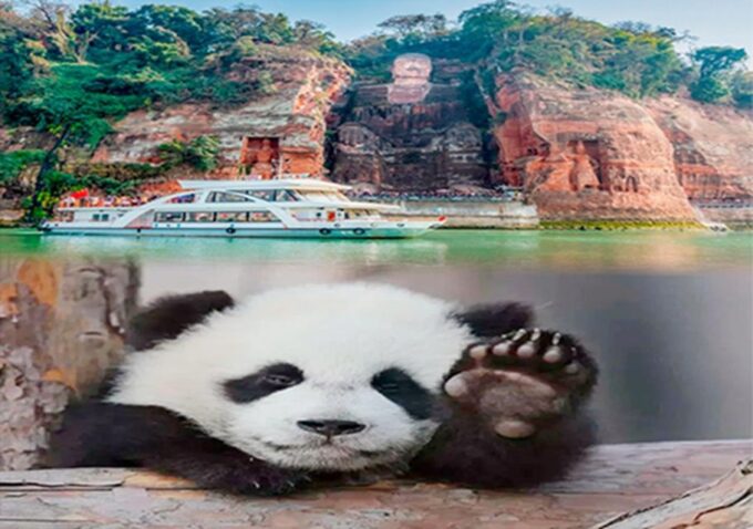 Chengdu Panda & Leshan Buddha One Day Private Tour - Costs and Tickets