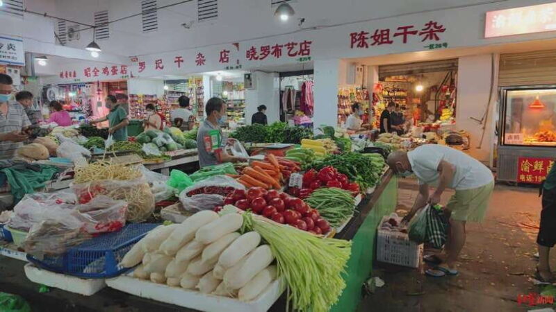 Chengdu: Private Panda Base and Sichuan Cuisine Tour - Logistics and Practicalities
