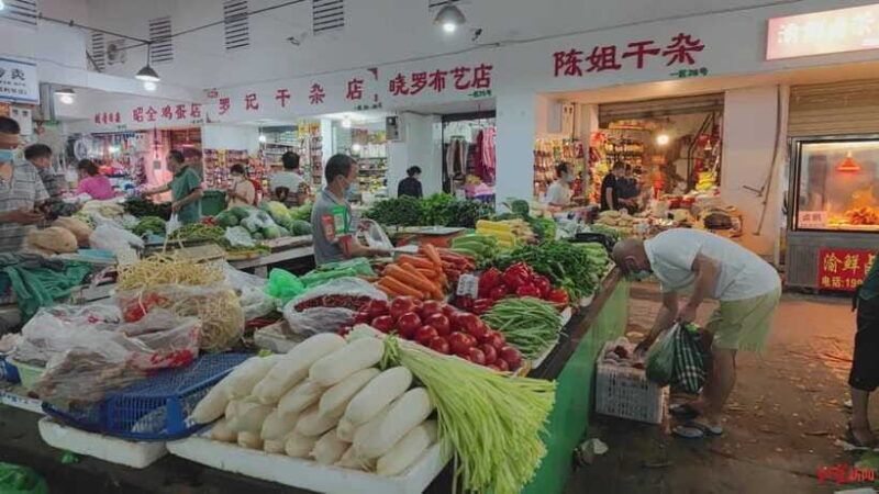 Chengdu: Private Panda Base and Sichuan Cuisine Tour - Who Will Love This Tour?