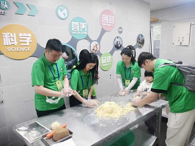 Chengdu: Volunteer Day Experience at Dujiangyan Panda base - Practical Tips for Travelers