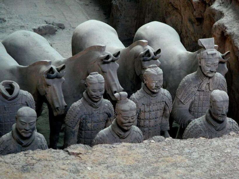 Chengdu: Xi'an Terracotta Warriors Day Trip by Bullet Train - Who Is This Tour Best For?