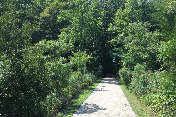 Chesapeake Beach Guided Walking Tour Review - Accessibility and Recommendations