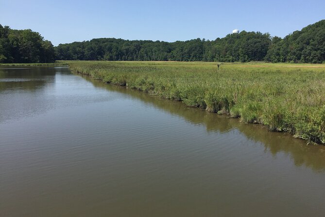 Chesapeake Beach Guided Walking Tour Review - Overall Impression and Recommendation
