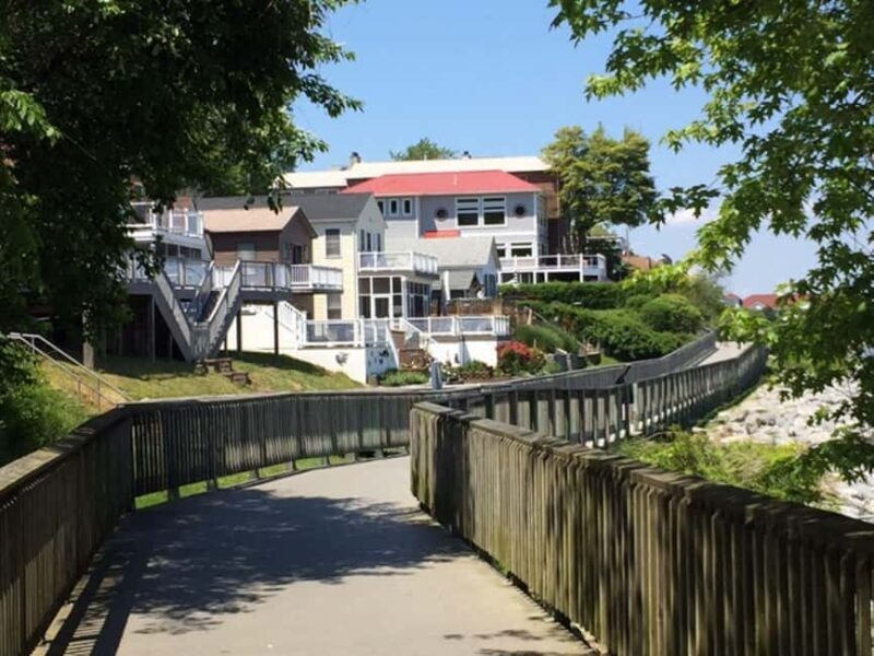 Chesapeake Beach: Guided Walking Tour to The Cliffs - Who Will Love This Tour