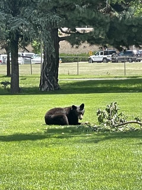 Cheyenne Canyon Art and Nature Segway Tour - Tour Duration and Pricing