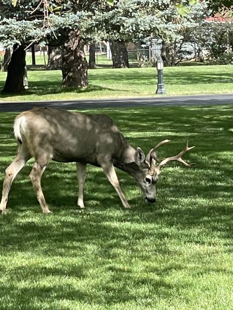 Cheyenne Canyon Art and Nature Segway Tour - Starsmore Visitor and Nature Center