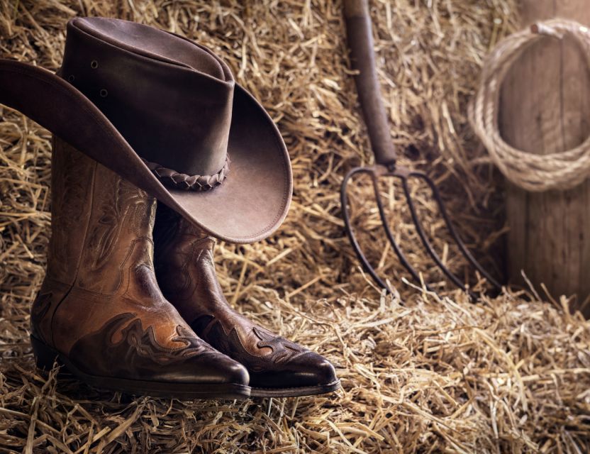 Cheyenne: Rodeo Ghosts Haunted Walking Tour - Important Information