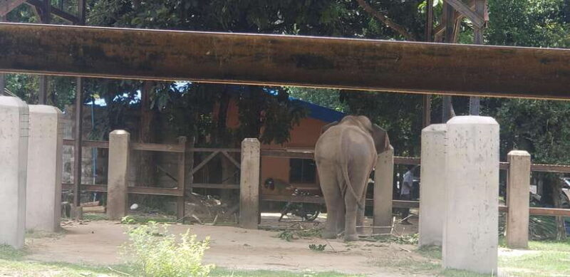 Chi so mountain _ Ta moa zoo_ Bati temple Tour - FAQ