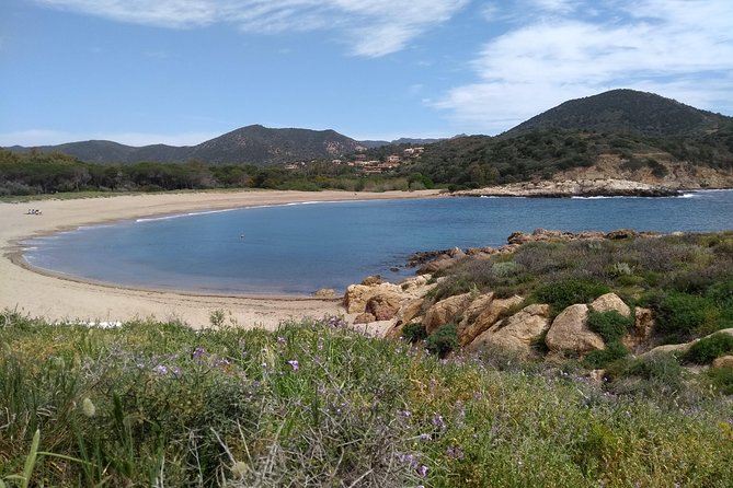 Chia Beaches Tour From Cagliari - Traveler Reviews