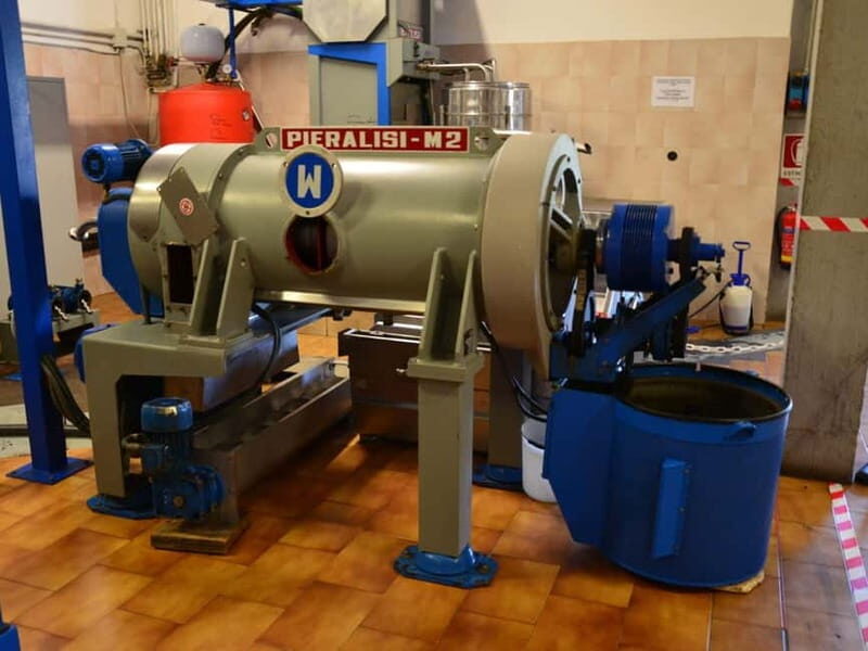 Chianciano: Olive Mill Tour with Oil and Food Tasting - The Sum Up
