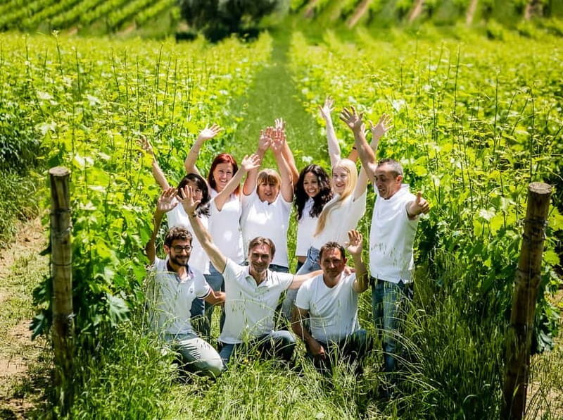 Chianciano Terme: Guided Winery Tour & Wine Tasting - A Closer Look at the Itinerary