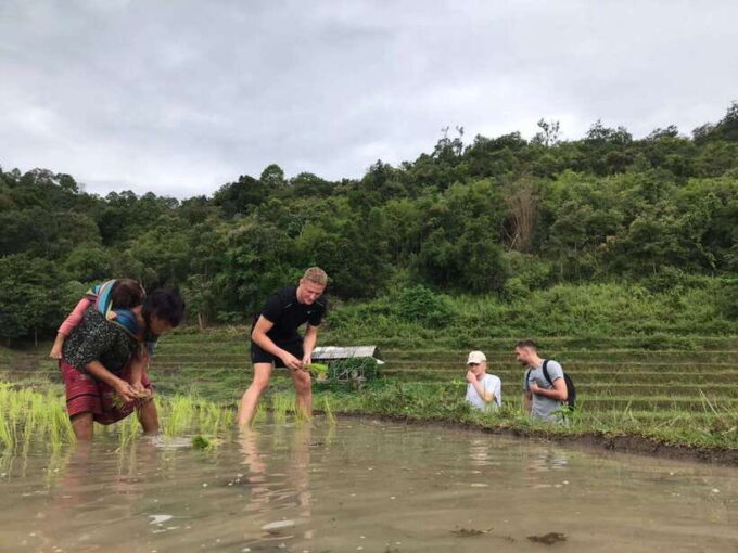 Chiang Mai: 2-Day, 1-Night Non-Touristy Trek - Exploring the Elephant Sanctuary