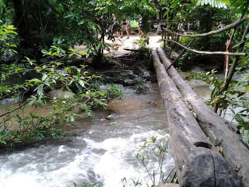 Chiang Mai: 2 Days Trek at Two Seasons Cliff - Trek Overview and Details