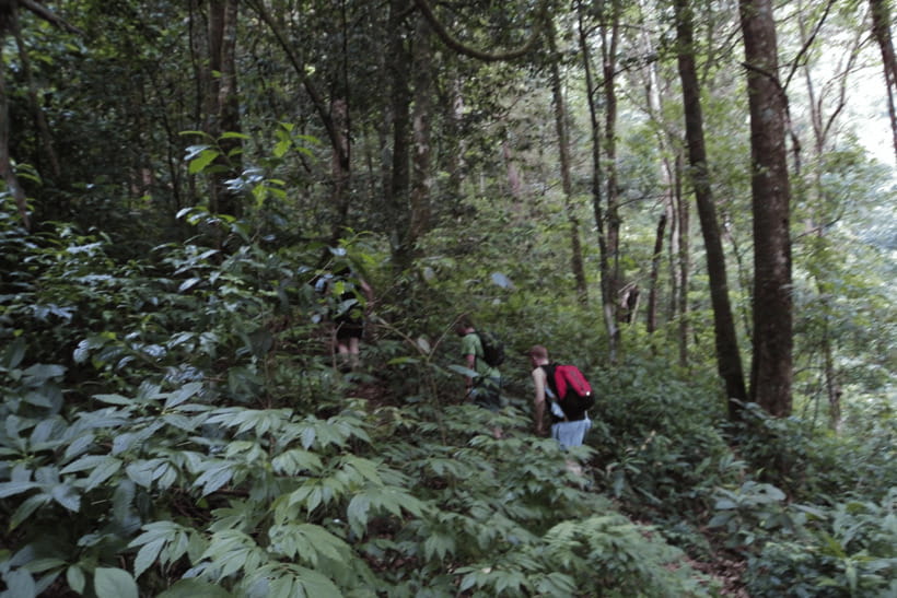 Chiang Mai: 2 Days Trek at Two Seasons Cliff - Visit to Shan Hill Tribe Village