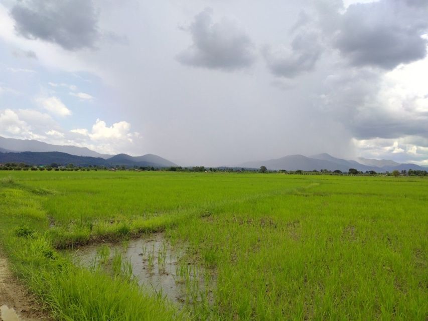 Chiang Mai: 25km Leisure Mountain Biking & Jungle Kayaking - Pickup and Transport