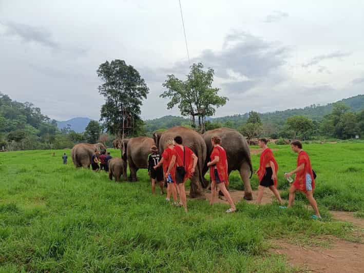 Chiang Mai : ATV Tour + Elephant Care - Inclusions