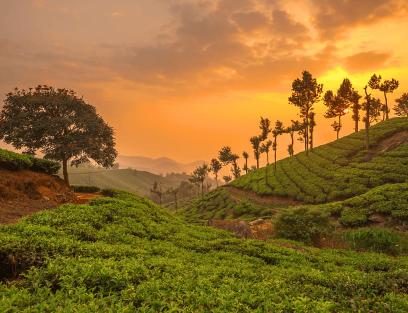 Chiang Mai: Chiang Rai Highlights & Scenic Landscapes Tour - Preparation and Important Information