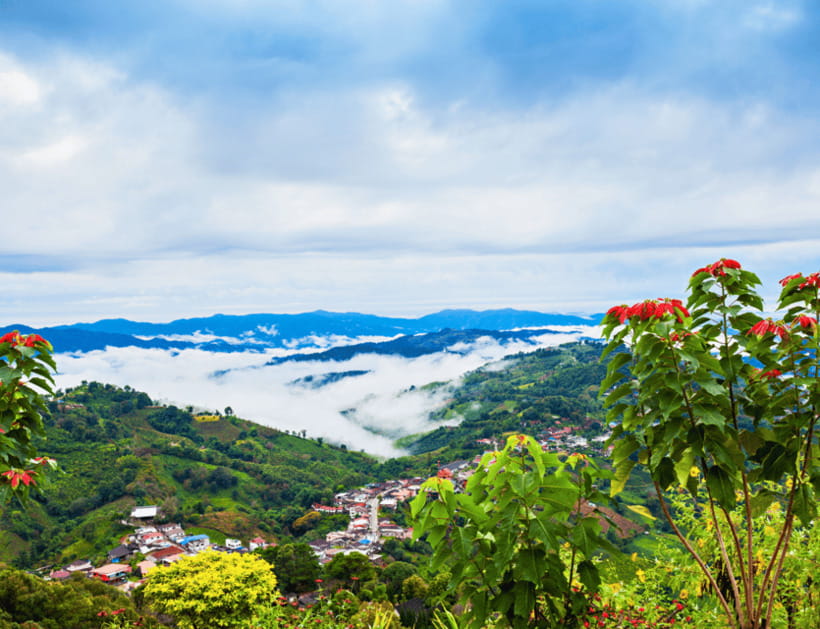 Chiang Mai: Chiang Rai Highlights & Scenic Landscapes Tour - Admiring Doi Mae Salongs Scenic Beauty