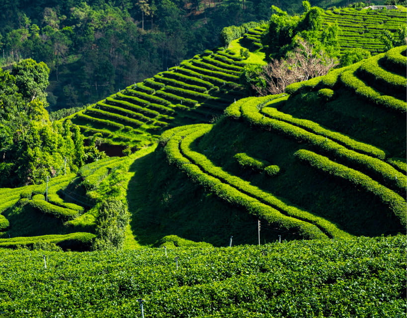 Chiang Mai: Chiang Rai Highlights & Scenic Landscapes Tour - Frequently Asked Questions
