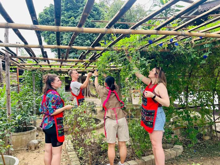 Chiang Mai: Cooking Class, Market and Thai Herbs Garden Tour - Itinerary and Experience