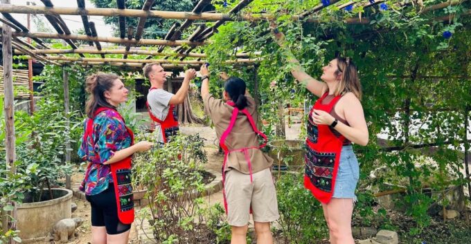 Chiang Mai: Cooking Class, Market and Thai Herbs Garden Tour - Recreating Dishes at Home