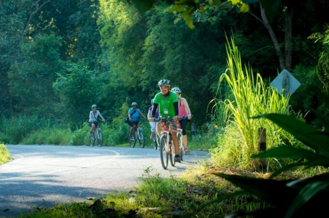 Chiang Mai Countryside E-Bike Ride With Expert Guide & Lunch - Discovering Baan Tawai Woodcarving Village
