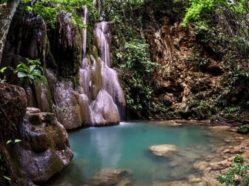 Chiang Mai: Culture of Temples and Sticky Waterfall - Customer Insights and Ratings