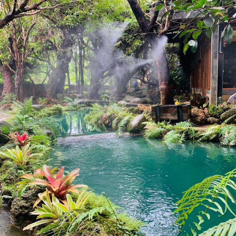 Chiang Mai: Dantewada ,Wat Ban Den Temple & Cafe Elephant - Key Points