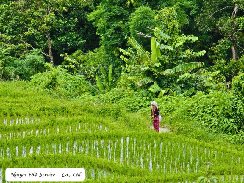 Chiang Mai: Doi Inthanon Day Tour With a Local by Songthaew. - Discovering Local Markets and Villages