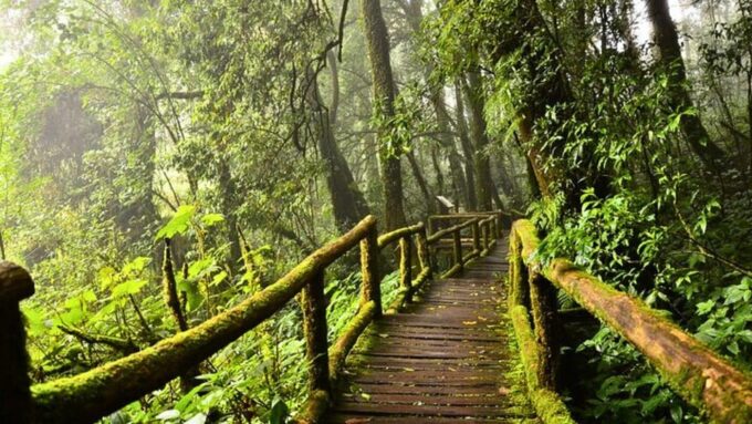Chiang Mai: Doi Inthanon National Park and Pha Dok Siew Trek - Visiting the Karen Hill Tribe Village