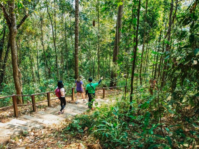 Chiang Mai: Doi Inthanon National Park Eco-Friendly Tour - Discovering the Natural Wonders