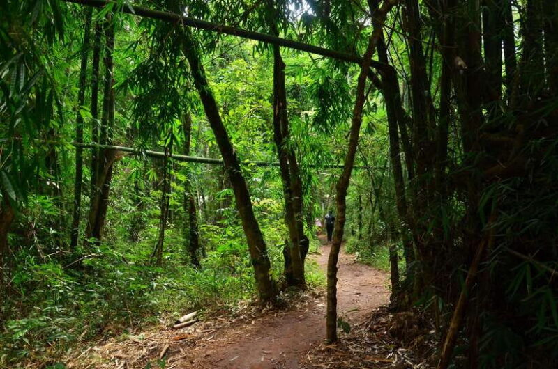 Chiang Mai: Doi Inthanon National Park Private Tour - Inclusions and Exclusions