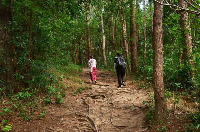 Chiang Mai: Doi Inthanon National Park Private Tour - Important Information