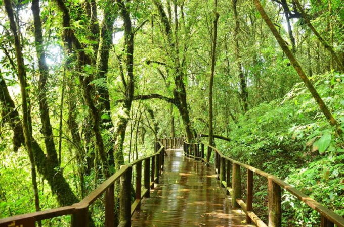 Chiang Mai: Doi Inthanon National Park Private Tour - Highlights of Doi Inthanon National Park