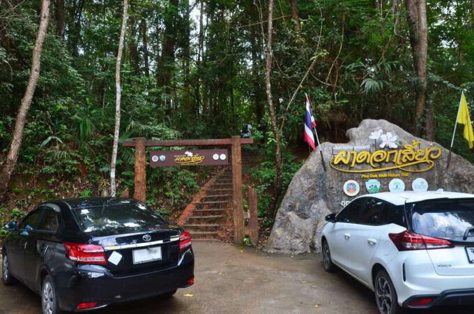 Chiang Mai: Doi Inthanon National Park Private Tour - Exploring the Pha Dok Sieo Nature Trail