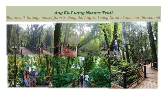 Chiang Mai: Doi Inthanon National Park Sightseeing - Hmong Hilltribe Market and Lunch