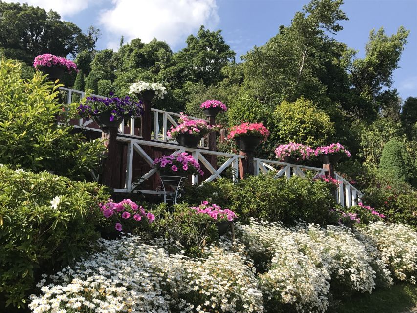 Chiang Mai: Doi Inthanon National Park Visit and Guided Hike - Hill Tribe Coffee Experience
