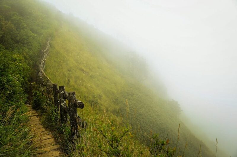 Chiang Mai: Doi Inthanon National Park, Waterfall & Lunch - Exploring Doi Inthanon National Park