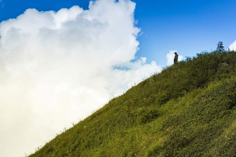 Chiang Mai: Doi Inthanon National Park, Waterfall & Lunch - Wachirathan Waterfall
