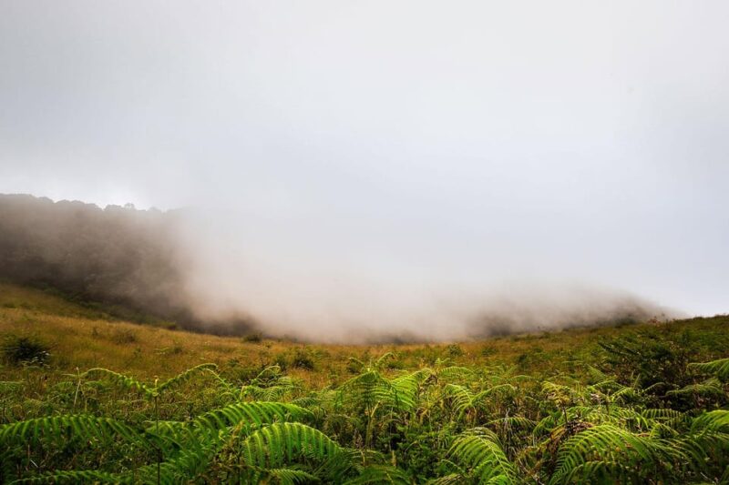 Chiang Mai: Doi Inthanon National Park, Waterfall & Lunch - Twin Pagodas and Stunning Views